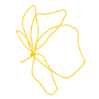 Logo Lona New Poppy